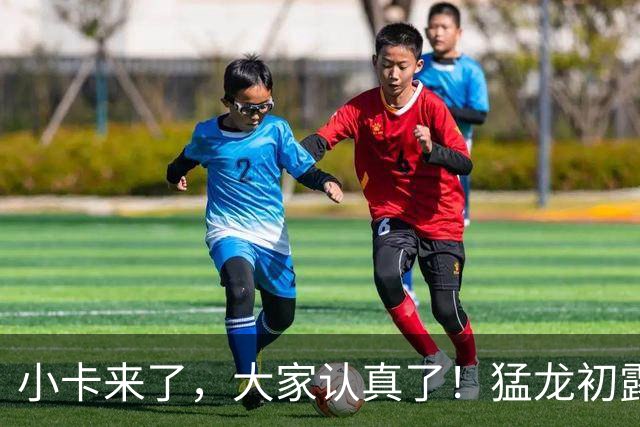 小卡来了，大家认真了！猛龙初露锋芒，三大数据印证东部霸主崛起
